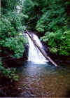 North Georgia Waterfall