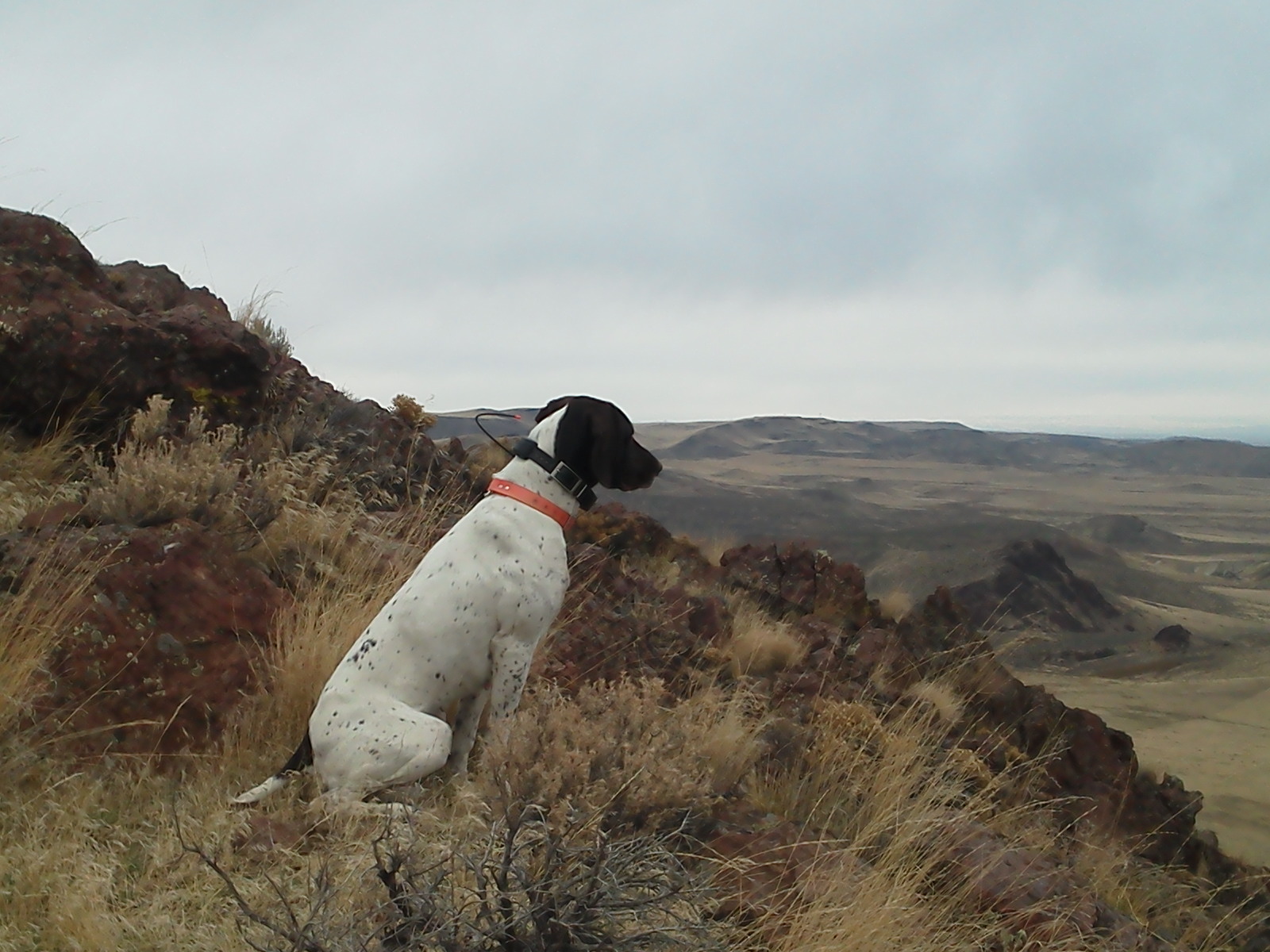 Kate in Oregon